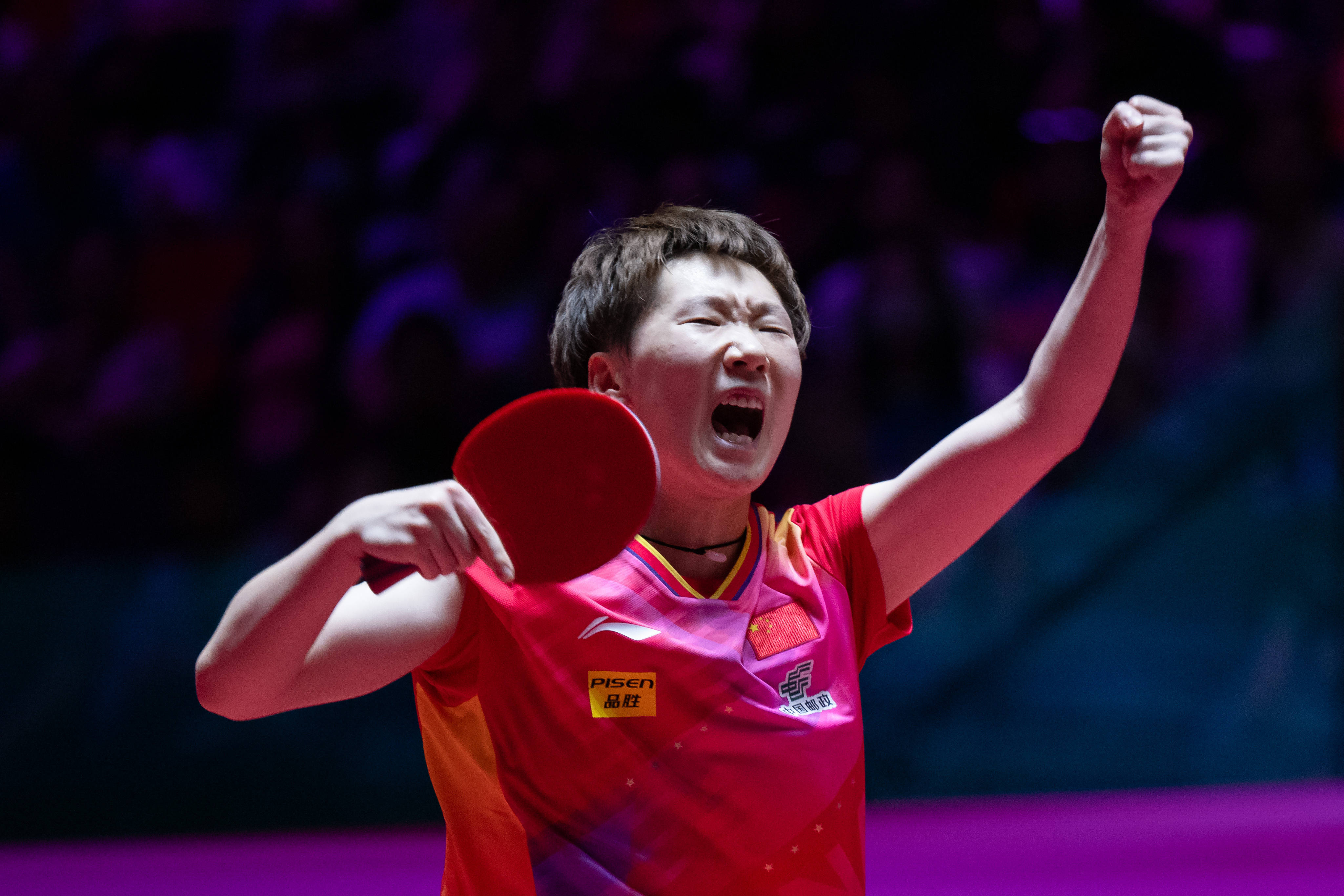 提供了展示 提供了展示