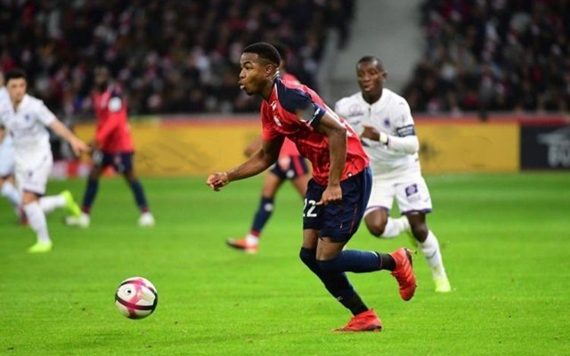 成功将比分 成功将比分